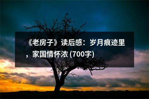 《老房子》讀后感：歲月痕跡里，家國(guó)情懷濃 (700字)