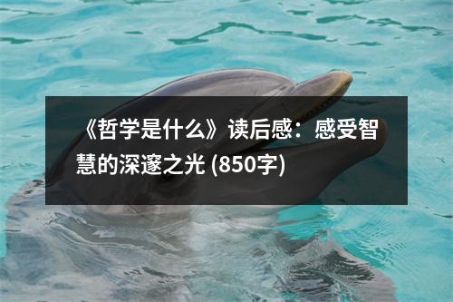 《哲學是什么》讀后感：感受智慧的深邃之光 (850字)