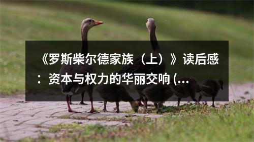 《羅斯柴爾德家族（上）》讀后感：資本與權(quán)力的華麗交響 (750字)