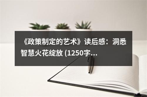 《政策制定的藝術(shù)》讀后感：洞悉智慧火花綻放 (1250字)