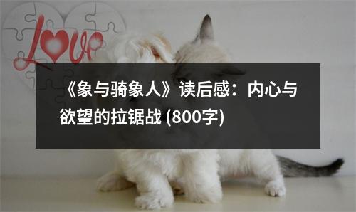 《象與騎象人》讀后感：內(nèi)心與欲望的拉鋸戰(zhàn) (800字)