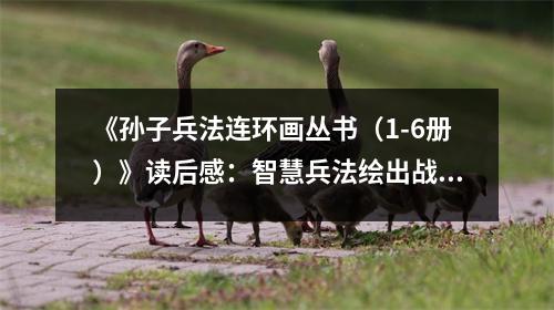 《孫子兵法連環(huán)畫叢書（1-6冊）》讀后感：智慧兵法繪出戰(zhàn)略光輝 (950字)