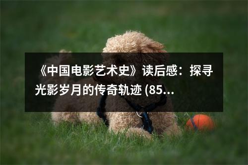 《中國電影藝術(shù)史》讀后感：探尋光影歲月的傳奇軌跡 (850字)