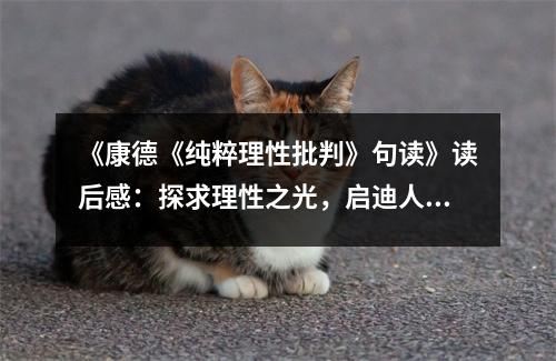 《康德《純粹理性批判》句讀》讀后感：探求理性之光，啟迪人生智慧 (750字)