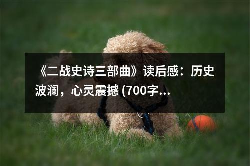 《二戰(zhàn)史詩(shī)三部曲》讀后感：歷史波瀾，心靈震撼 (700字)
