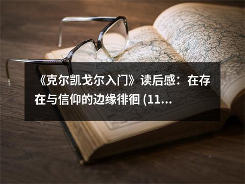 《克爾凱戈?duì)柸腴T(mén)》讀后感：在存在與信仰的邊緣徘徊 (1150字)