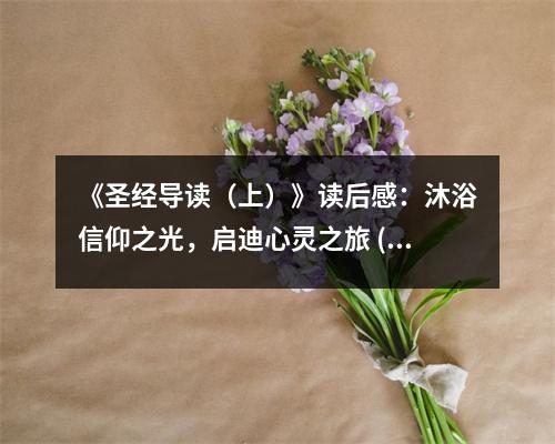 《圣經(jīng)導(dǎo)讀（上）》讀后感：沐浴信仰之光，啟迪心靈之旅 (800字)