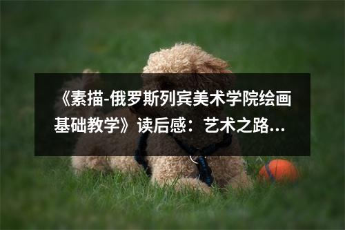 《素描-俄羅斯列賓美術(shù)學(xué)院繪畫(huà)基礎(chǔ)教學(xué)》讀后感：藝術(shù)之路，砥礪前行 (900字)