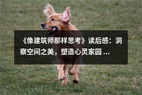 《像建筑師那樣思考》讀后感：洞察空間之美，塑造心靈家園 (950字)