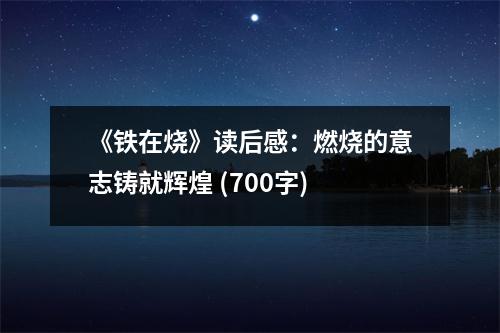 《鐵在燒》讀后感：燃燒的意志鑄就輝煌 (700字)