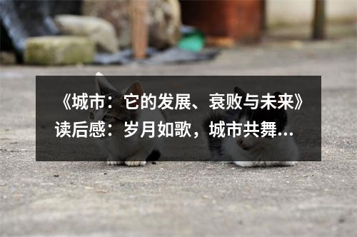 《城市：它的發(fā)展、衰敗與未來》讀后感：歲月如歌，城市共舞 (850字)