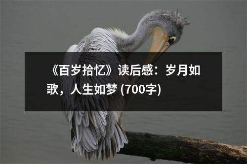 《百歲拾憶》讀后感：歲月如歌，人生如夢(mèng) (700字)