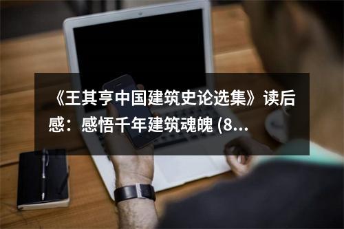 《王其亨中國建筑史論選集》讀后感：感悟千年建筑魂魄 (850字)