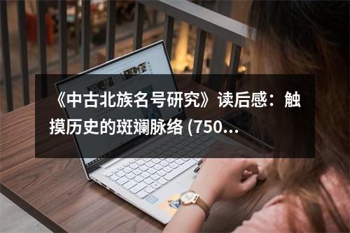 《中古北族名號研究》讀后感：觸摸歷史的斑斕脈絡(luò) (750字)