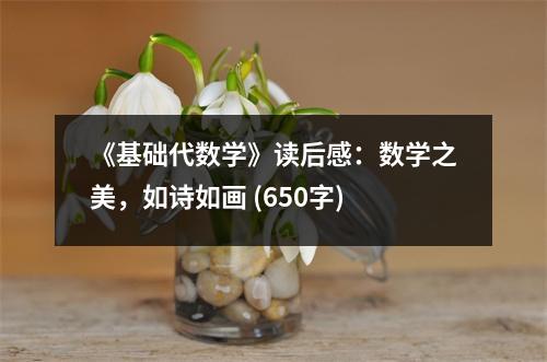 《基礎(chǔ)代數(shù)學》讀后感：數(shù)學之美，如詩如畫 (650字)