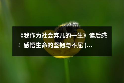《我作為社會棄兒的一生》讀后感：感悟生命的堅韌與不屈 (850字)