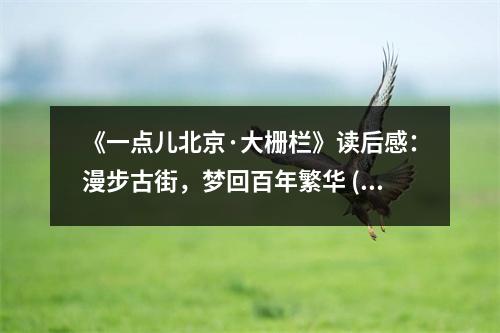 《一點(diǎn)兒北京·大柵欄》讀后感：漫步古街，夢回百年繁華 (1050字)
