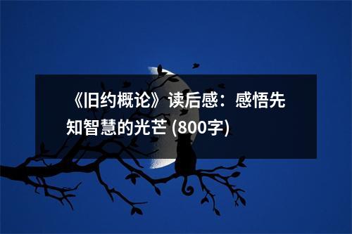 《舊約概論》讀后感：感悟先知智慧的光芒 (800字)