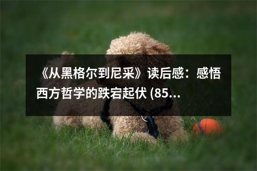《從黑格爾到尼采》讀后感：感悟西方哲學(xué)的跌宕起伏 (850字)