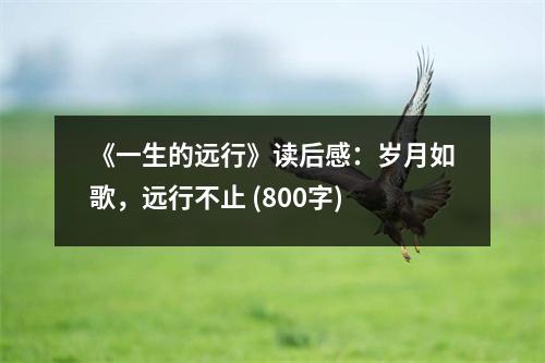 《一生的遠(yuǎn)行》讀后感：歲月如歌，遠(yuǎn)行不止 (800字)