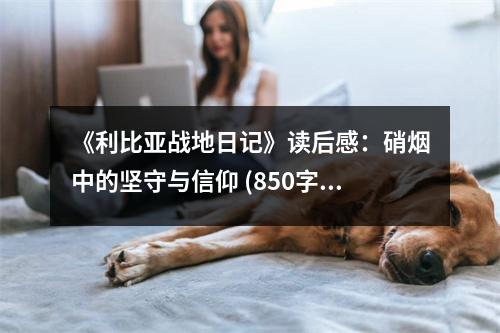 《利比亞戰(zhàn)地日記》讀后感：硝煙中的堅(jiān)守與信仰 (850字)