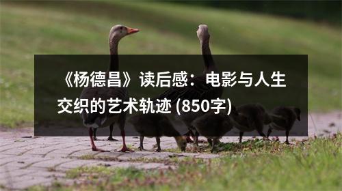 《楊德昌》讀后感：電影與人生交織的藝術(shù)軌跡 (850字)