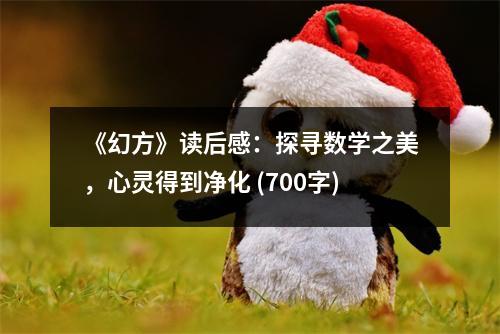 《幻方》讀后感：探尋數(shù)學(xué)之美，心靈得到凈化 (700字)