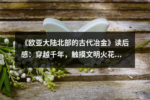 《歐亞大陸北部的古代冶金》讀后感：穿越千年，觸摸文明火花 (900字)