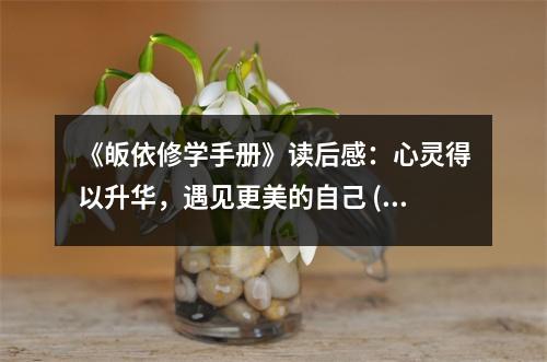 《皈依修學(xué)手冊(cè)》讀后感：心靈得以升華，遇見更美的自己 (600字)