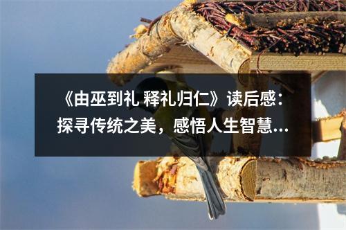 《由巫到禮 釋禮歸仁》讀后感：探尋傳統(tǒng)之美，感悟人生智慧 (800字)