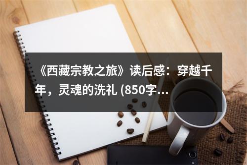 《西藏宗教之旅》讀后感：穿越千年，靈魂的洗禮 (850字)