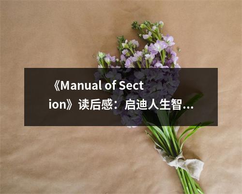 《Manual of Section》讀后感：啟迪人生智慧之旅 (700字)