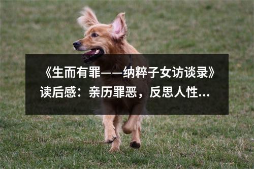 《生而有罪——納粹子女訪談錄》讀后感：親歷罪惡，反思人性深淵 (800字)