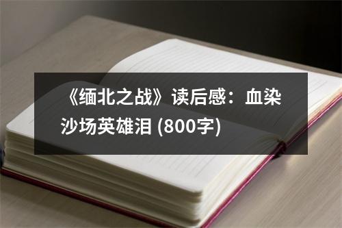 《緬北之戰(zhàn)》讀后感：血染沙場英雄淚 (800字)