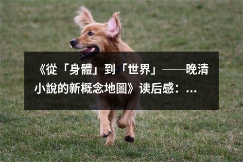 《從「身體」到「世界」──晚清小說的新概念地圖》讀后感：穿越時(shí)空的文學(xué)瑰寶 (950字)