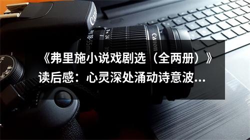 《弗里施小說(shuō)戲劇選（全兩冊(cè)）》讀后感：心靈深處涌動(dòng)詩(shī)意波瀾 (800字)
