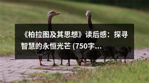 《柏拉圖及其思想》讀后感：探尋智慧的永恒光芒 (750字)