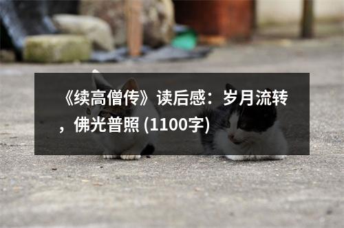 《續(xù)高僧傳》讀后感：歲月流轉，佛光普照 (1100字)