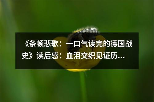 《條頓悲歌：一口氣讀完的德國戰(zhàn)史》讀后感：血淚交織見證歷史 (750字)
