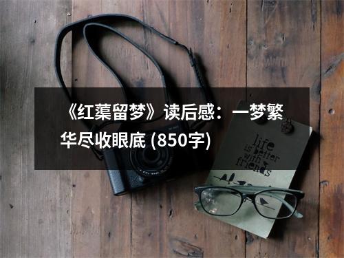 《紅蕖留夢》讀后感：一夢繁華盡收眼底 (850字)
