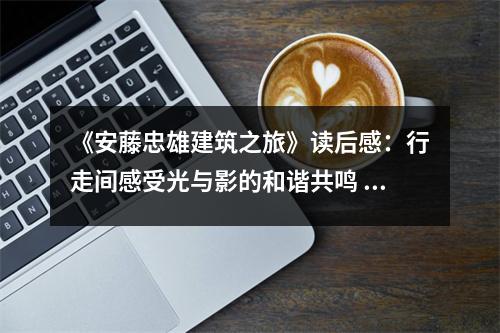 《安藤忠雄建筑之旅》讀后感：行走間感受光與影的和諧共鳴 (950字)