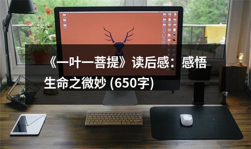 《一葉一菩提》讀后感：感悟生命之微妙 (650字)