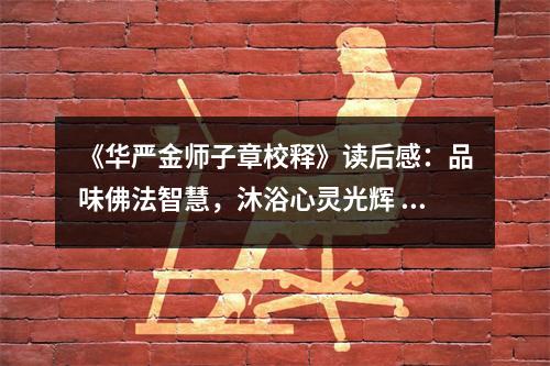 《華嚴(yán)金師子章校釋》讀后感：品味佛法智慧，沐浴心靈光輝 (1100字)