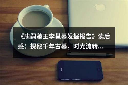 《唐嗣虢王李邕墓發(fā)掘報(bào)告》讀后感：探秘千年古墓，時(shí)光流轉(zhuǎn)情難舍 (750字)