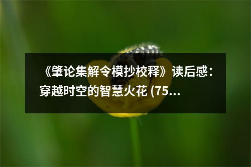 《肇論集解令模抄校釋》讀后感：穿越時(shí)空的智慧火花 (750字)