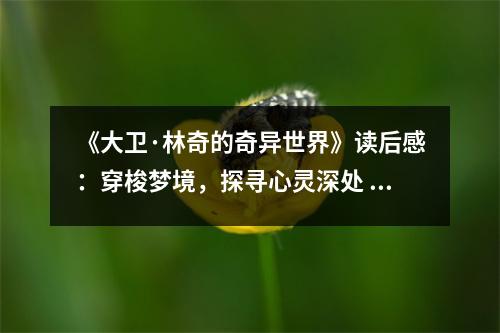 《大衛(wèi)·林奇的奇異世界》讀后感：穿梭夢(mèng)境，探尋心靈深處 (900字)