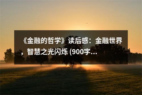 《金融的哲學(xué)》讀后感：金融世界，智慧之光閃爍 (900字)
