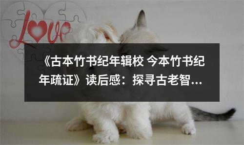 《古本竹書紀(jì)年輯校 今本竹書紀(jì)年疏證》讀后感：探尋古老智慧的足跡 (800字)