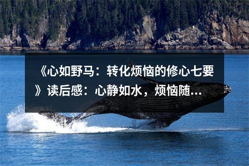 《心如野馬：轉(zhuǎn)化煩惱的修心七要》讀后感：心靜如水，煩惱隨風(fēng)散 (800字)