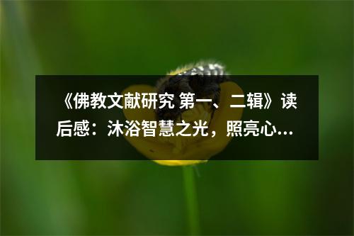 《佛教文獻(xiàn)研究 第一、二輯》讀后感：沐浴智慧之光，照亮心靈深處 (900字)